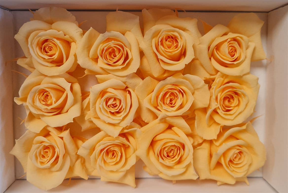 Dutch Flower Studio - Wholesale Artificial Flowers - 🌸 Preserved Roses - 10 colors - Decoration - Flowers - 4 cm8
