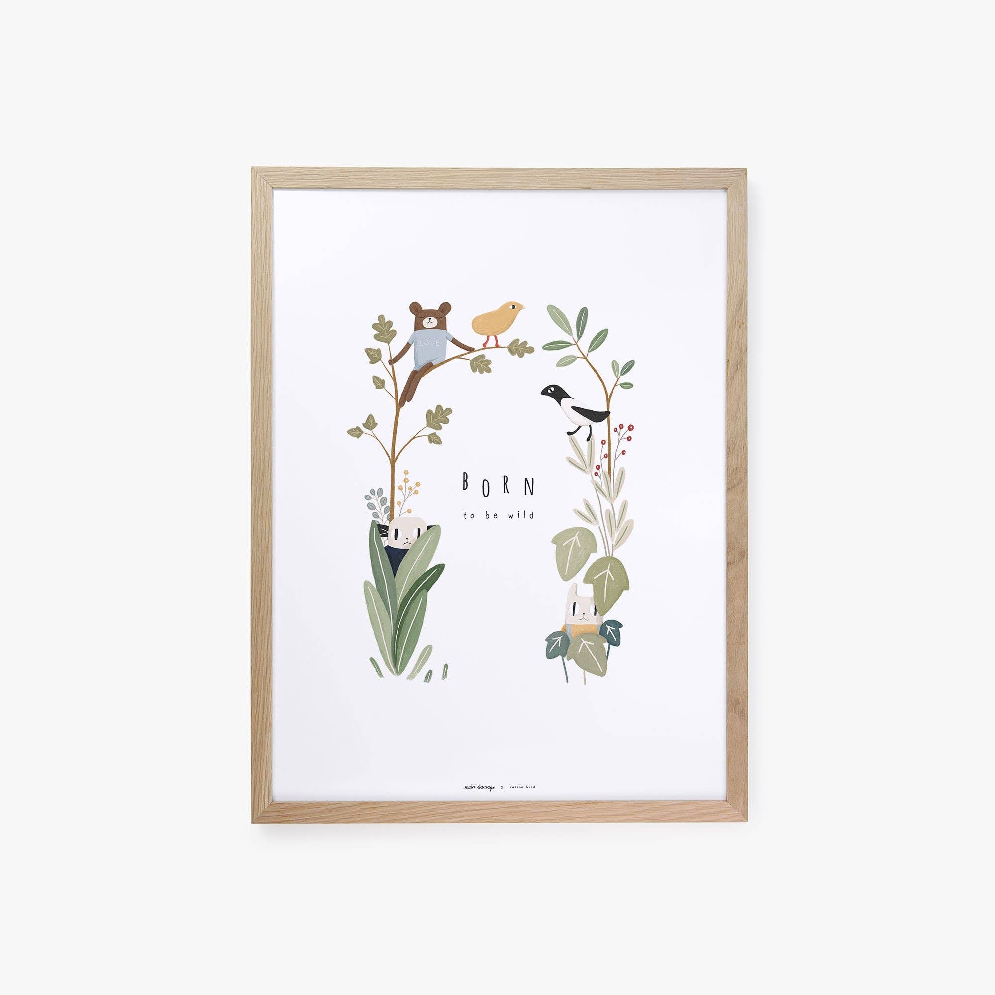 Cotton Bird – Engroshandel Plakat – Vis cache-cache2