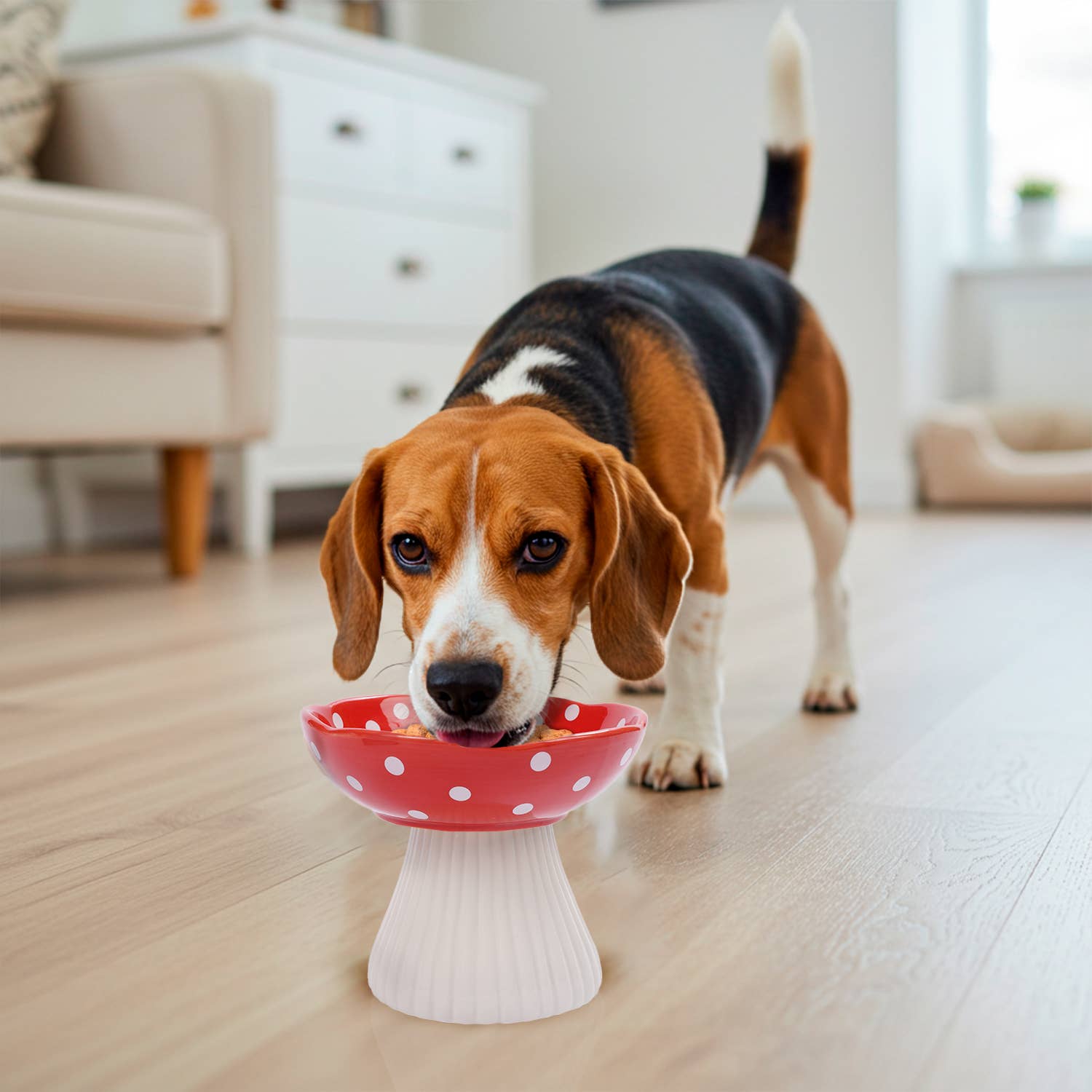 Precious Tails - Wholesale Pet Bowl - Cat/Dog - Mushroom Shaped  Stoneware Elevated Pet Bowl12