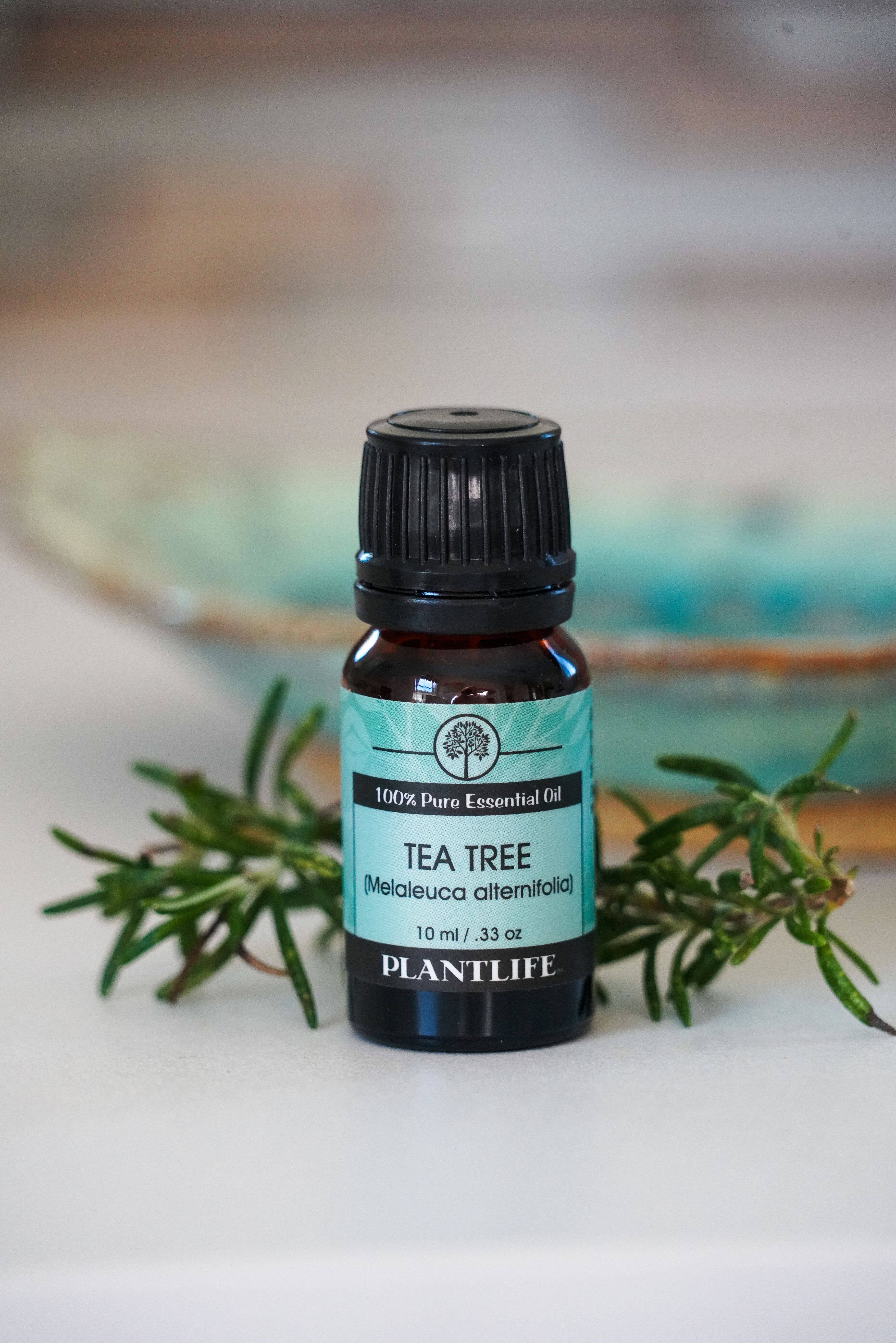 Plantlife - Wholesale Essential Oil - Tea Tree Essential Oil2