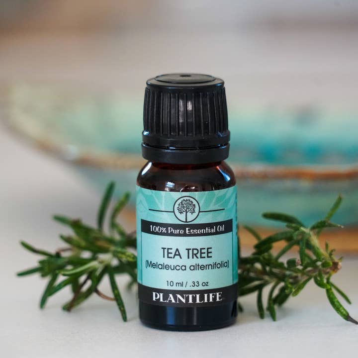 Plantlife - Wholesale Essential Oil - Tea Tree Essential Oil2
