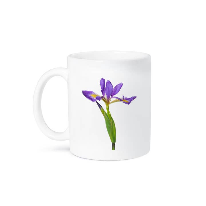 3dRose, Blue Flag Iris, Iris versicolor, with white background, Marion Co., IL, Mug and other Purchase Wholesale sotvattensparlor. Free Returns & Net 60 Terms on Faire trending on Faire.