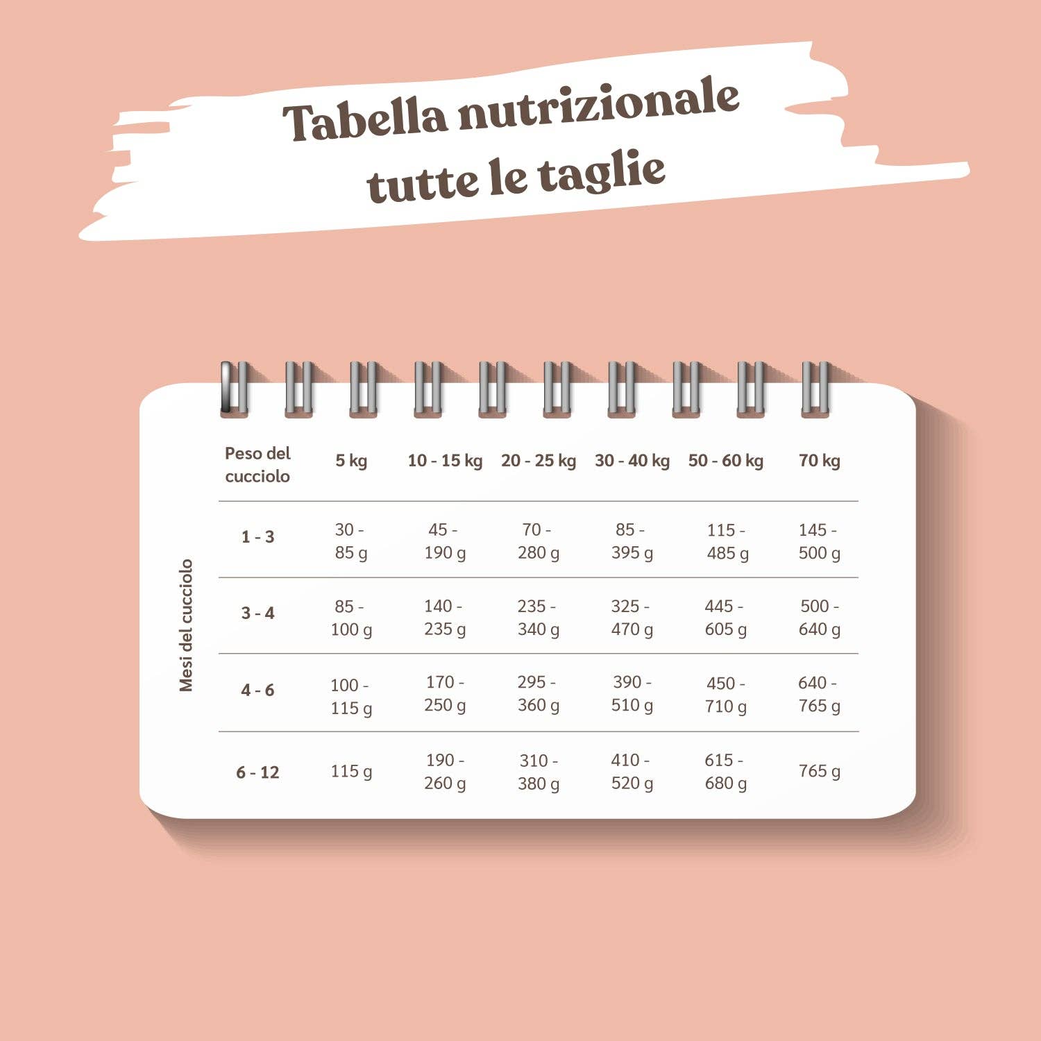 Pettech S.r.l. - Wholesale Pet Treats - Dog - Kibble with Fresh Pork, Potatoes, and Peas for Puppy3