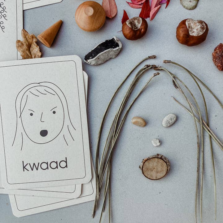 Wildebras - Wholesale Learning Cards - Kids & Baby - Emotion flashcards - Montessori toys3