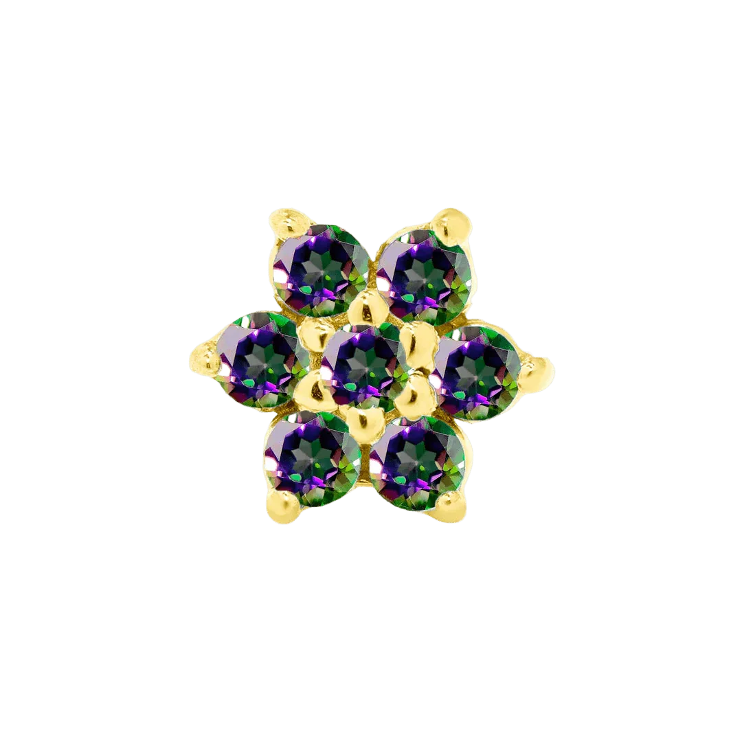 Piercing-zone - Wholesale Single earring - Lantana – 14K Gold Threadless/Threaded End1