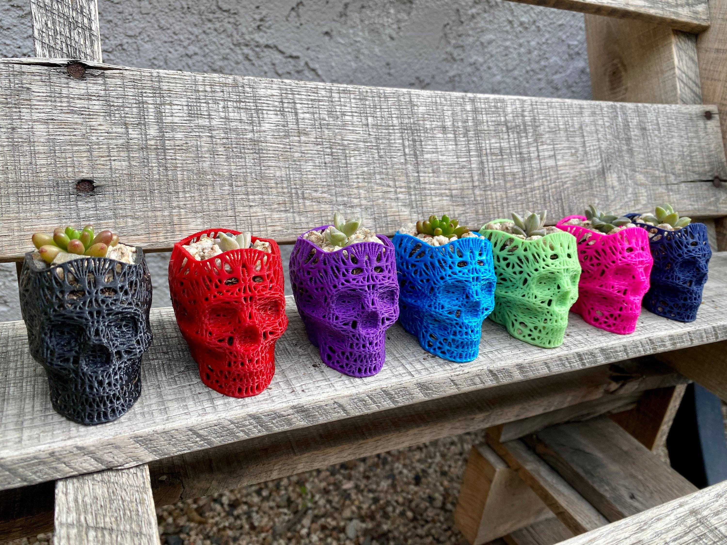 NumanPrints - Wholesale Plant Pot - 3D Printed Succulent Skull Planter Pot Small Indoor7