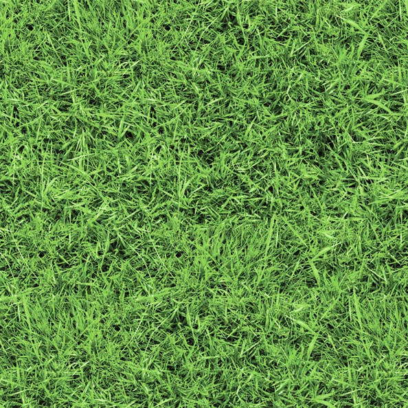URSUS® / Buntpapierfabrik Ludwig Bähr GmbH & Co. KG - Wholesale Craft Supplies - Motif photo cardboard “Lawn”, 49.5 X 68 cm