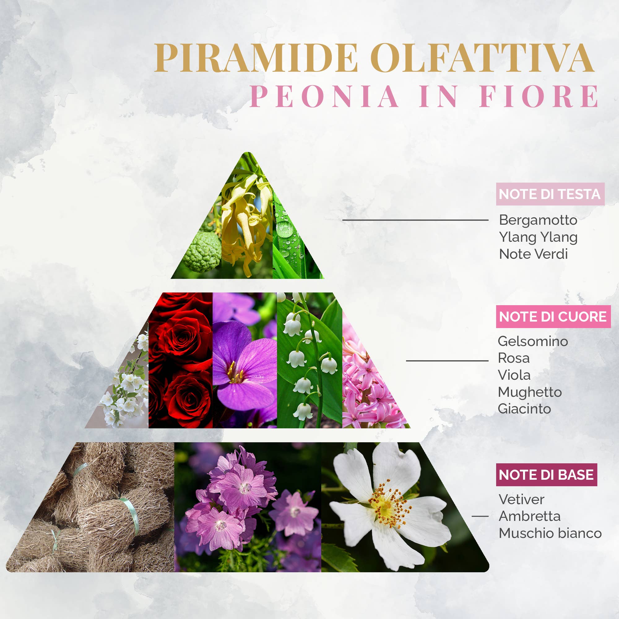 Logevy Firenze 1965 - Wholesale Room & linen spray - Peony in Bloom Room Fragrance Spray 75ml2