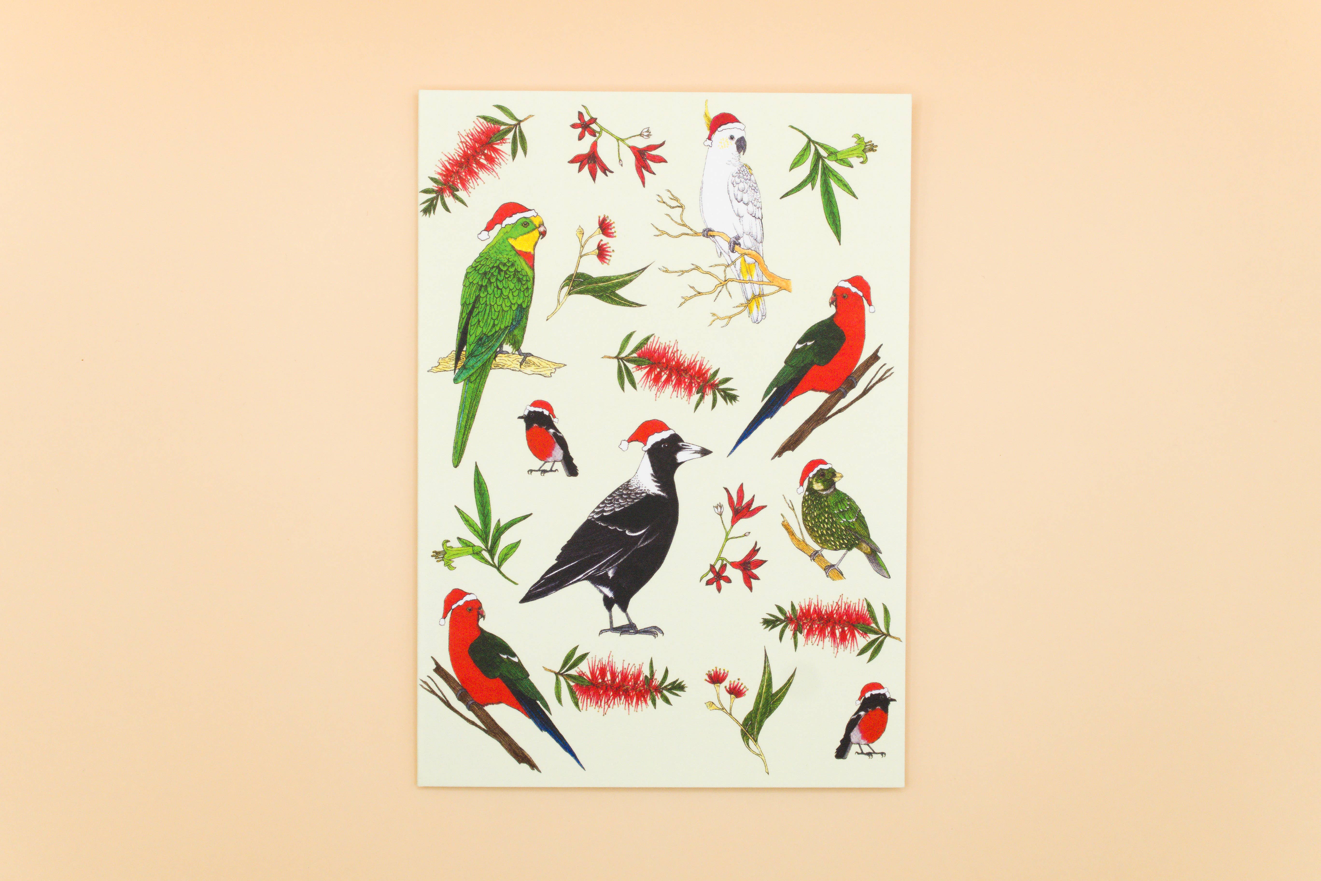 Sunshine Sea Art – Engroshandel Julekort – Julekort Australske Fugle A6 Genbrugspapir