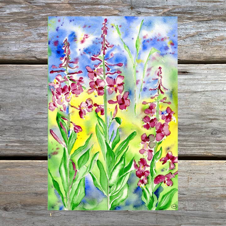 Natasha Zahn Studio - Wholesale Sketchbook/Sketchpad - Fireweed Sketch Journal1