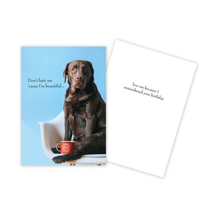 Funny Dog Birthday Card for wholesale by Sun Day Greetings
