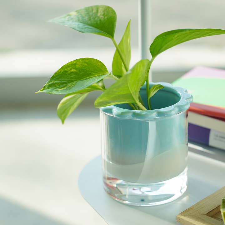 Helio Ferretti - Wholesale Vase - HYDROPONIC VASE CELESTINA HF