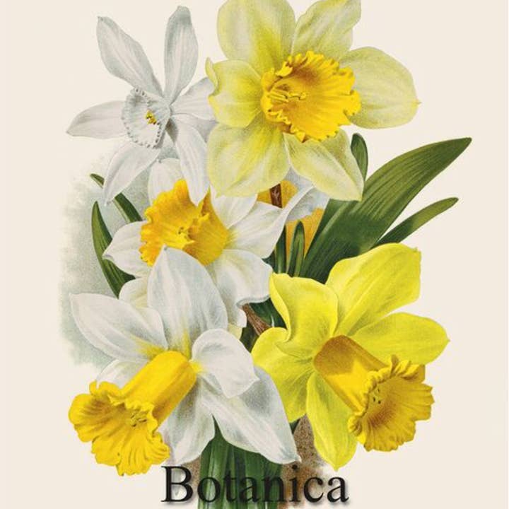 Thrive Creative – Großhandel Kalender – Tischkalender 2025, Vintage-Tischkalender mit floralen und botanischen Illustrationen