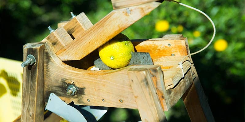 Aki Foods Japan - Wholesale Fruit Juice - Kito Yuzu 100% Yuzu Juice Concentrate 100ml3