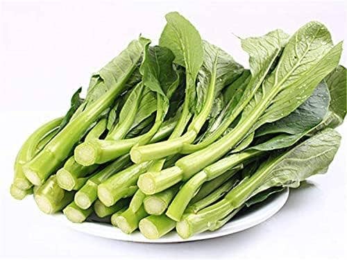 The Rike - Wholesale Plant Seeds - Choy Sum Seeds Brassica Integrifolia 6 pack x 3000 Seeds 3