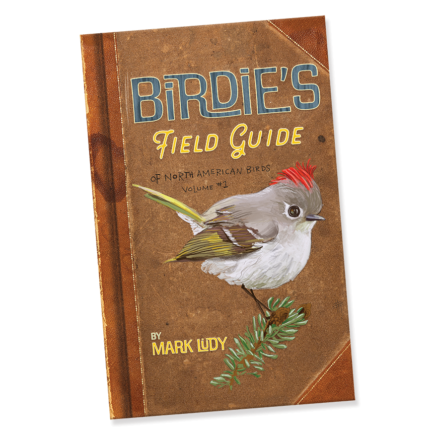Mark Ludy Art Books & Games - Vente Roman graphique - Birdie's Field Guide - Livre illustré signé par Mark Ludy1