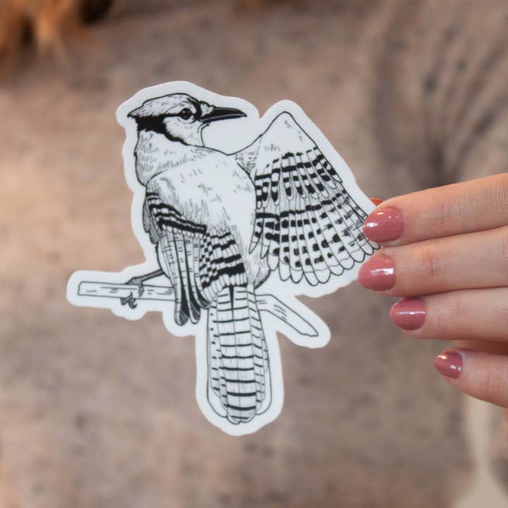 Blue Jay 4x4 Die Cut Stickers for wholesale by Julie Annette Studios
