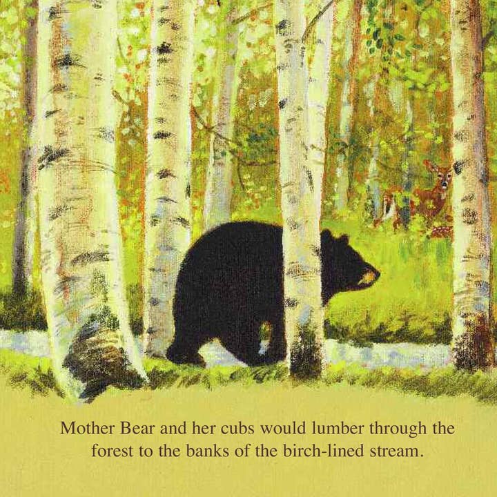 Sleeping Bear Press - Wholesale Preschool Book (3-5) - The Legend of Sleeping Bear Picture Book4