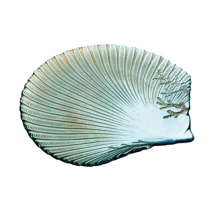 Blue sea shell dish 27x28x2cm for wholesale by AULICA