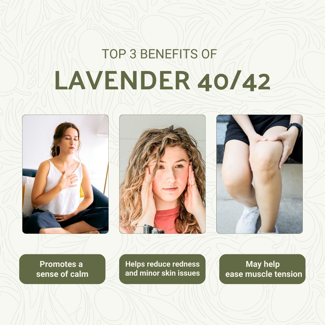 Nature Packaged - Vendita all'ingrosso Olio essenziale - Oli Essenziali di Lavanda 40/422