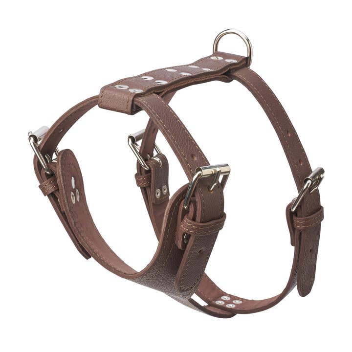 Medium Size Plain Leather Harness for wholesale by TOP DOG BRAND INC