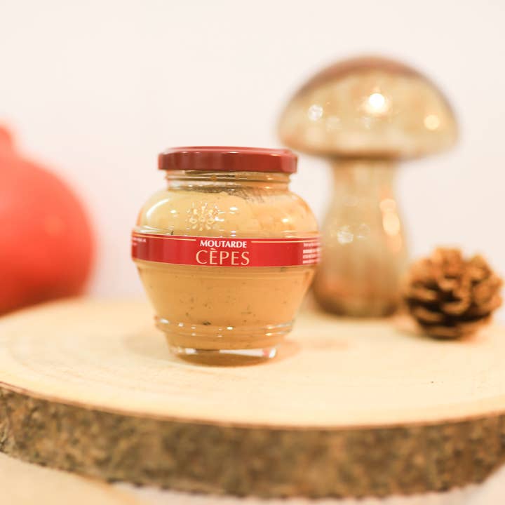 DOMAINE DES TERRES ROUGES - Wholesale Mustard - Porcini Mustard 55 g1