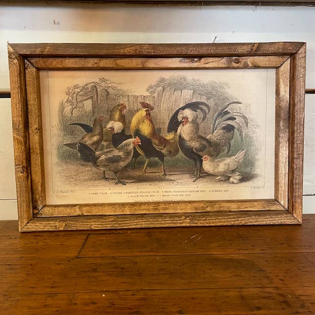 Breeds of Chickens Canvas Print Framed for wholesale by LAND OF COTTON