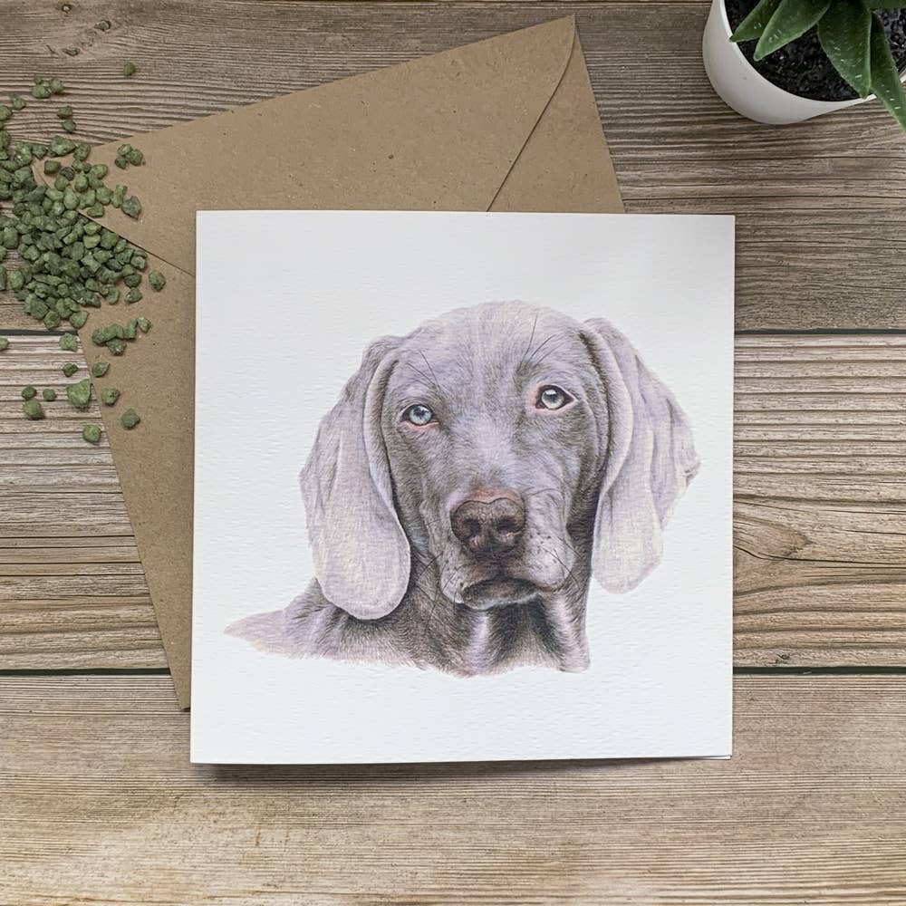 JVH creative Fine Art - Wholesale Everyday Greeting Card - Weimeraner Dog | Greetings Card | All Occasions2