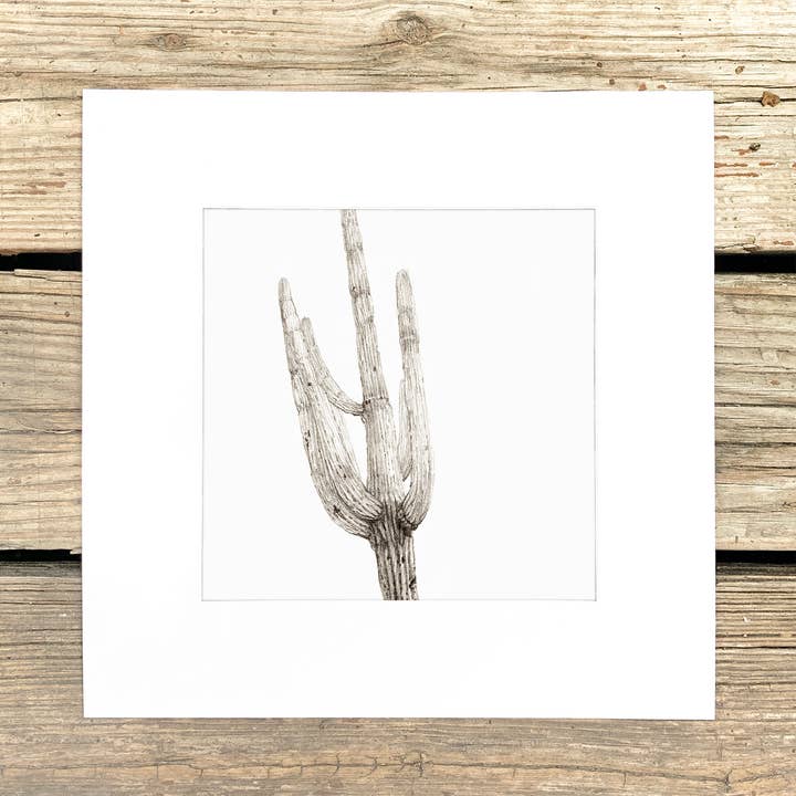 Black and White Saguaro Art Print for wholesale by Danika Ostrowski Art + Design