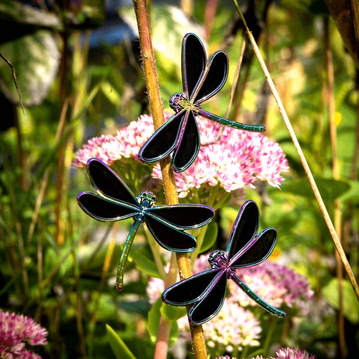 Ebony Jewelwing Damselfly Enamel Pin for wholesale by The Roving House