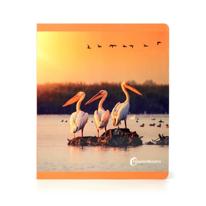 Birds - Wordless Photo Book NWB116 for wholesale by Nowordbooks
