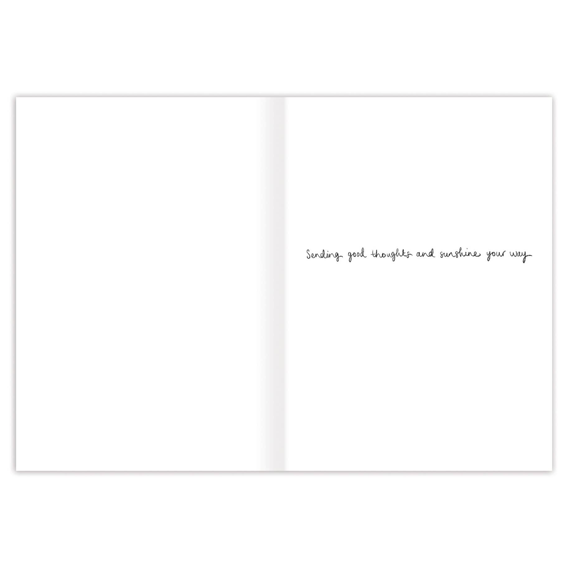 Biely & Shoaf - Wholesale Get Well Card - Garden Get Well Card1