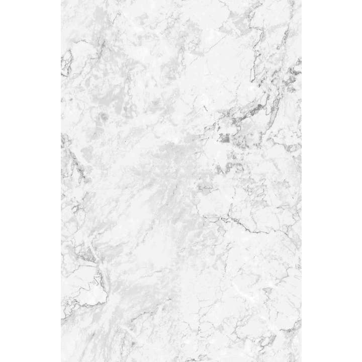 BONKS® - Venta al por mayor Expositor - Papelería y detalles - Ropa Interior de Emergencia - Paquete de Exhibición de 12 Unidades3