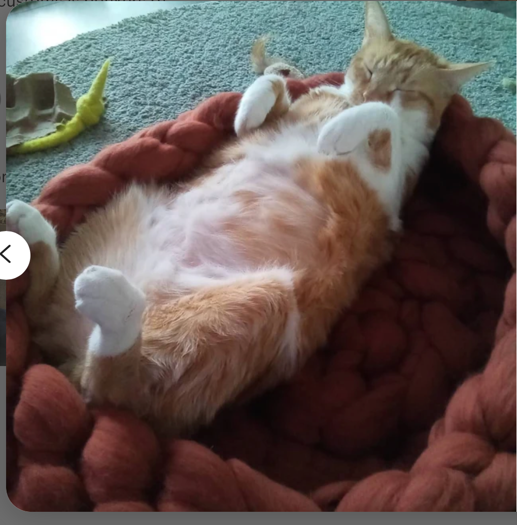 woolexperts - Venta al por mayor Cama - Gatos y perros - Cama para gatos Suministros para gatos Cama para gatos de punto grueso 100% lana merino9