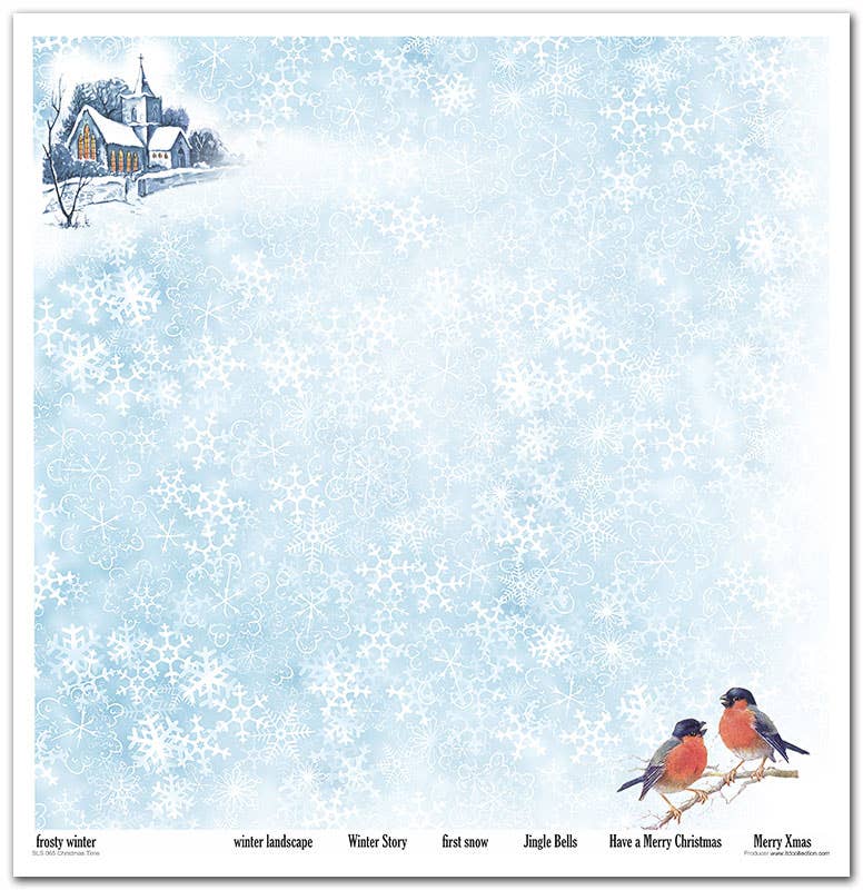 ITD Collection - Vendita all'ingrosso Scrapbooking - Set carta scrapbooking SLS-065 11 pezzi 310x320 mm - 200 g/m²7