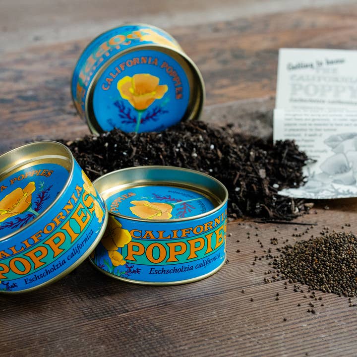 The Jonsteen Company - Wholesale Plant Seeds - California Poppy | Seed Grow Kit3