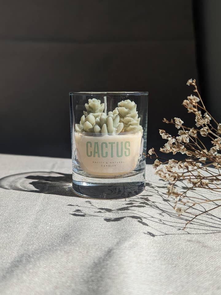 Vela La Succulente por atacado de Pretty & Natural Candles