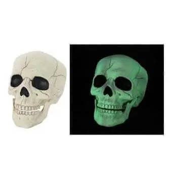 Glow In the Dark Skull for wholesale by Party Expo, LLC