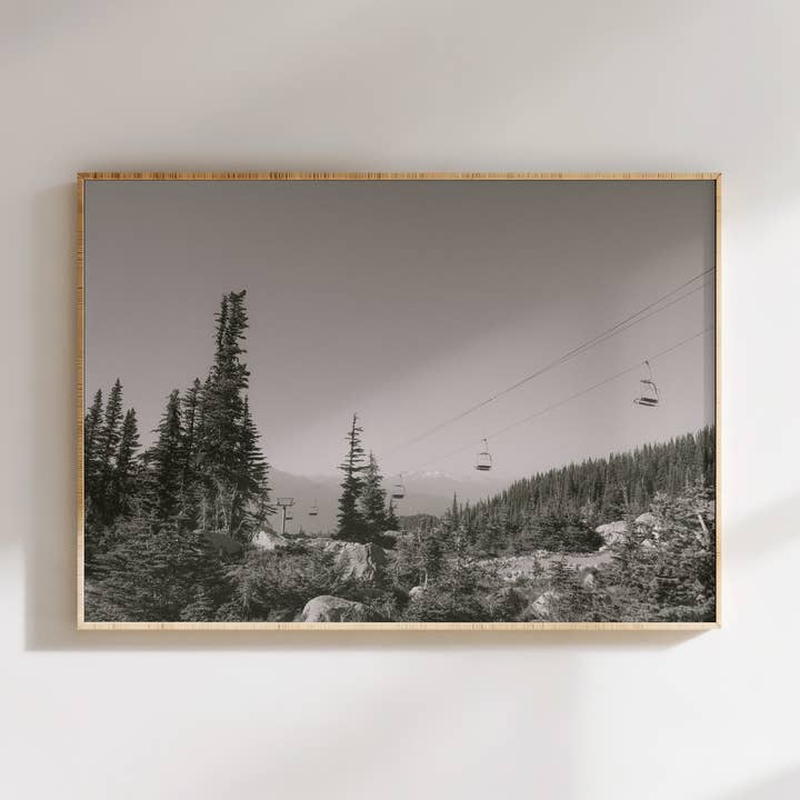 Whistler in de zomer fotografieafdruk voor wholesale door bymariarosestudio