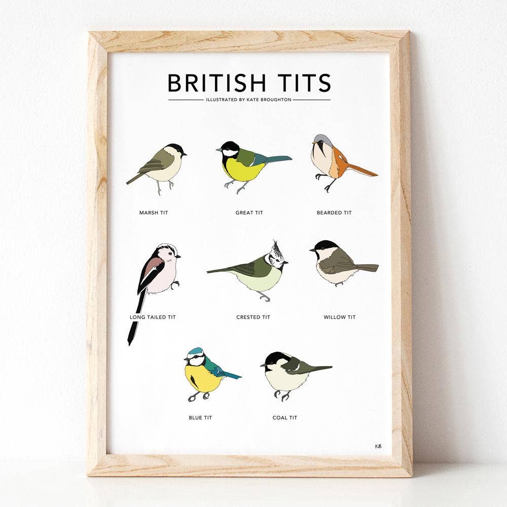 Kate Broughton - Wholesale Art Print - British Tits Print2