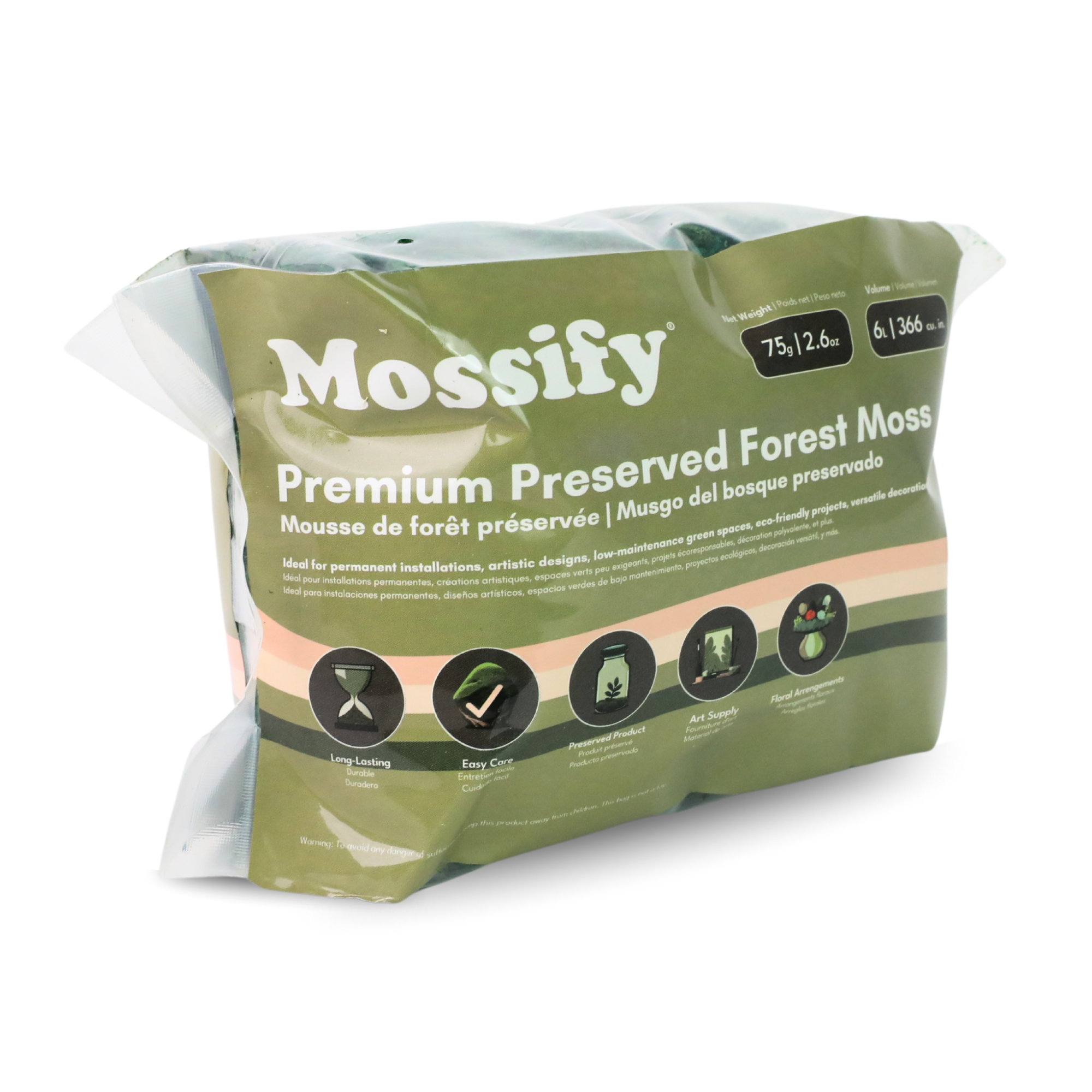Mossify - Wholesale Live Plant - Premium Preserved Forest Moss – Décor & Design Material5