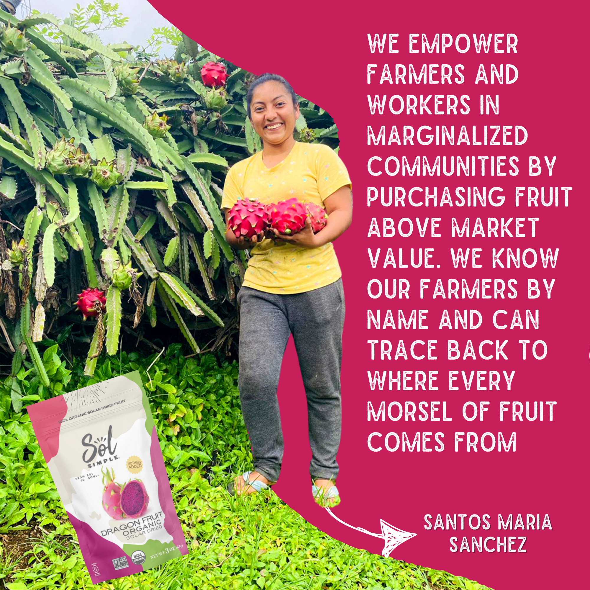 Sol Simple - Wholesale Dried/Dehydrated Fruit - Organic Solar Dried Dragon Fruit6