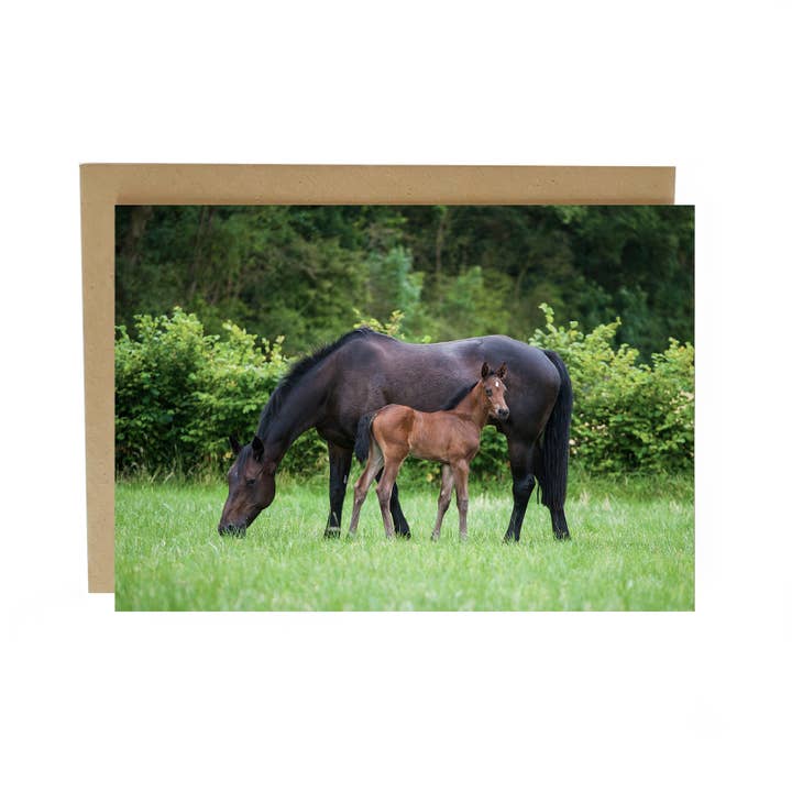 Mother and Foal Horse Greeting Card for wholesale by Alex Sharp