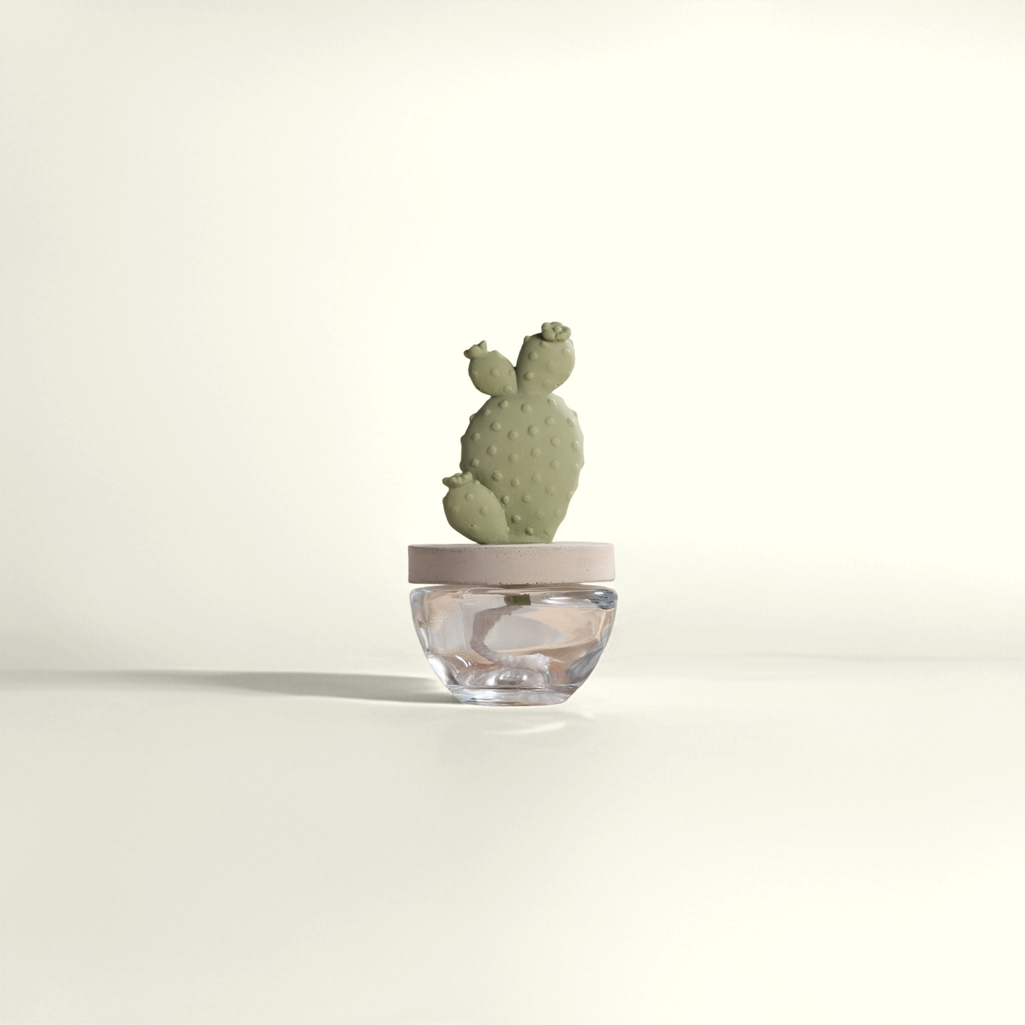 Pretty Valley Home - Vente Diffuseur à tiges - Coffret Cadeau Diffuseur Céramique Cactus - 100ml/3.38fl oz pour Décoration9