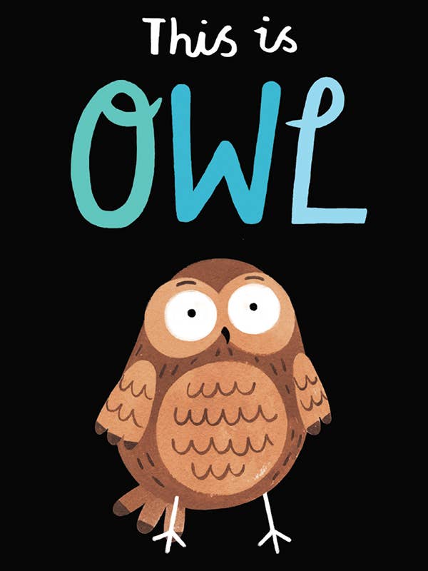 This is Owl for wholesale by EDC Publishing