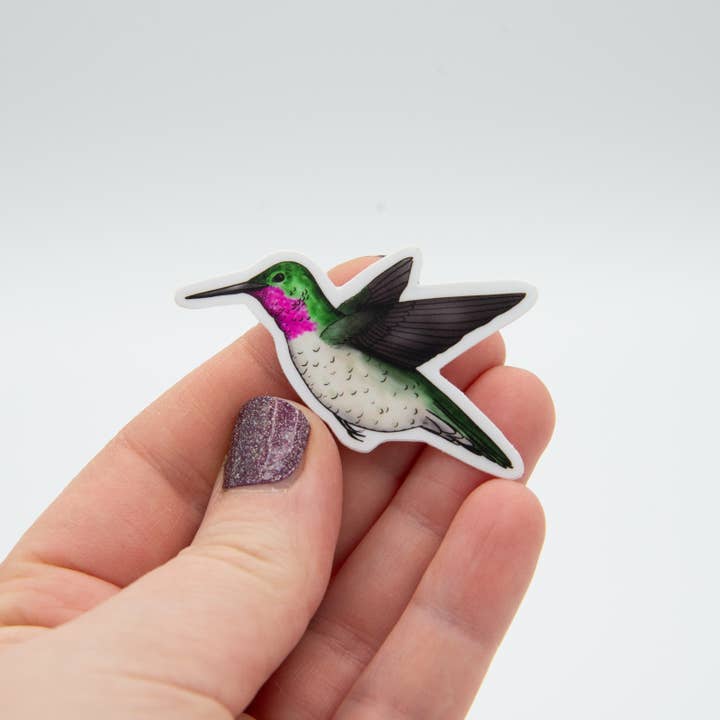 Adesivo in vinile con colibrì per la vendita all'ingrosso da parte di Jennifer Schiano Studio