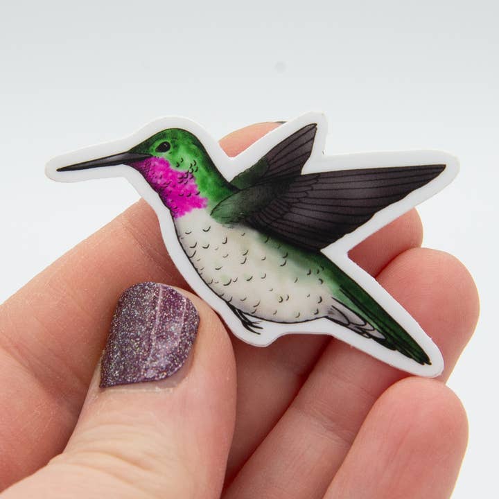 Autocollant en vinyle Colibri pour la vente par Jennifer Schiano Studio