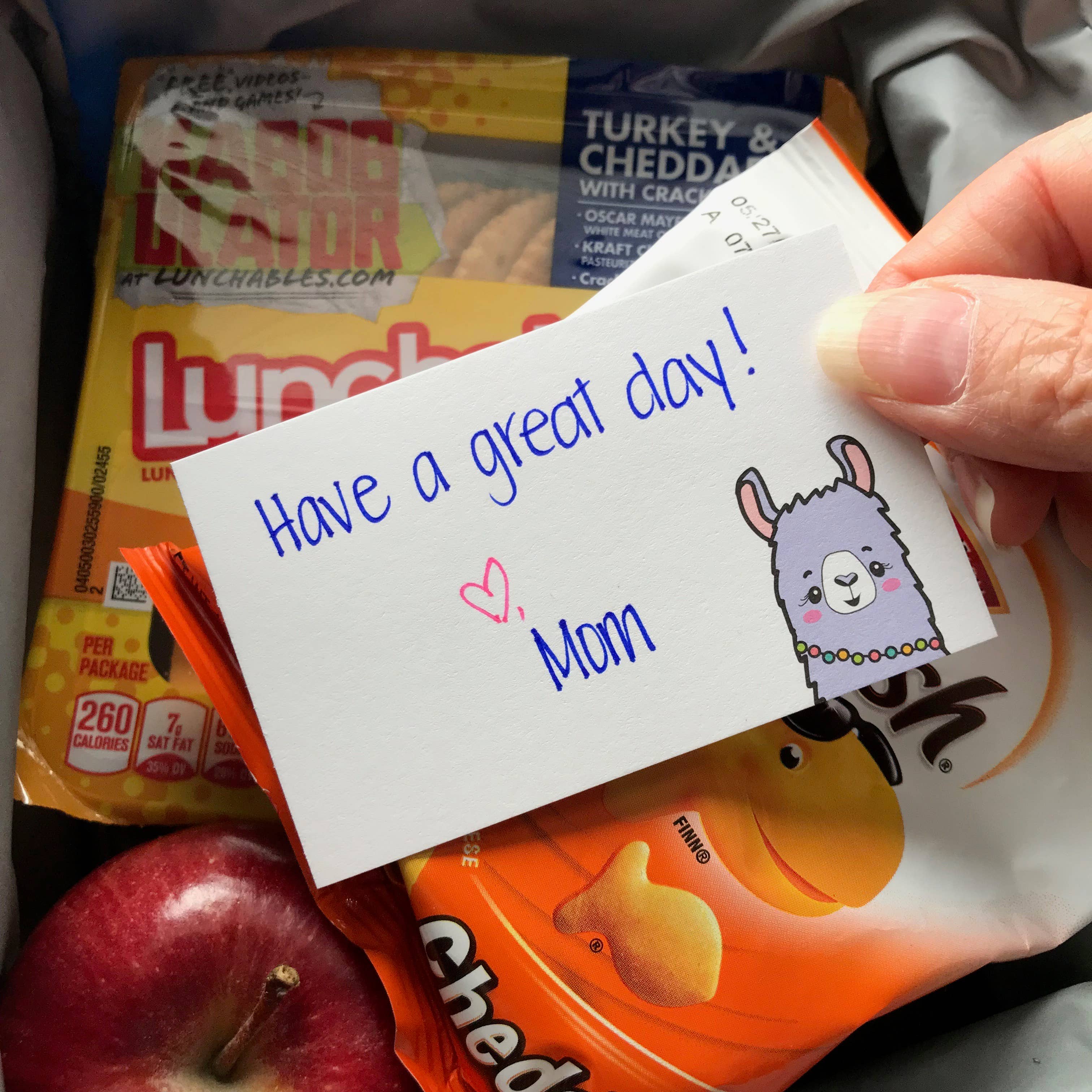 Kiss and Punch - Wholesale Stationery/Notecard Set - Mini Notecard Set of 60 - Llama2