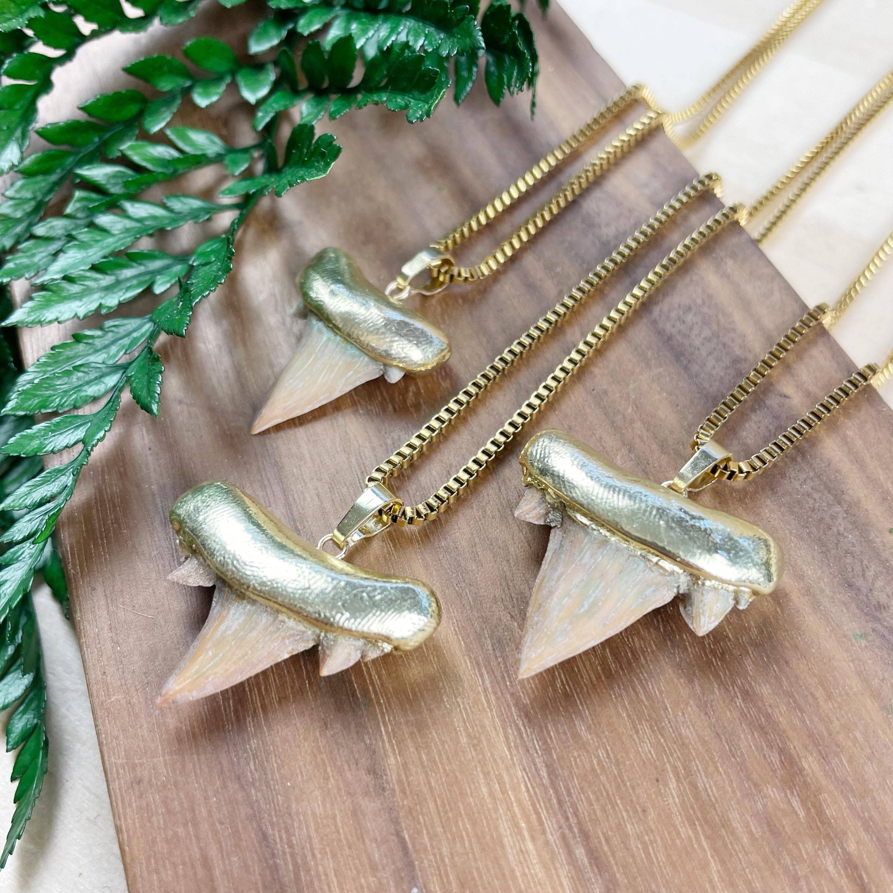 Ewelina Pas Jewelry – Engroshandel Halskæde med vedhæng – Halskæde med guldbelagt hajtand3