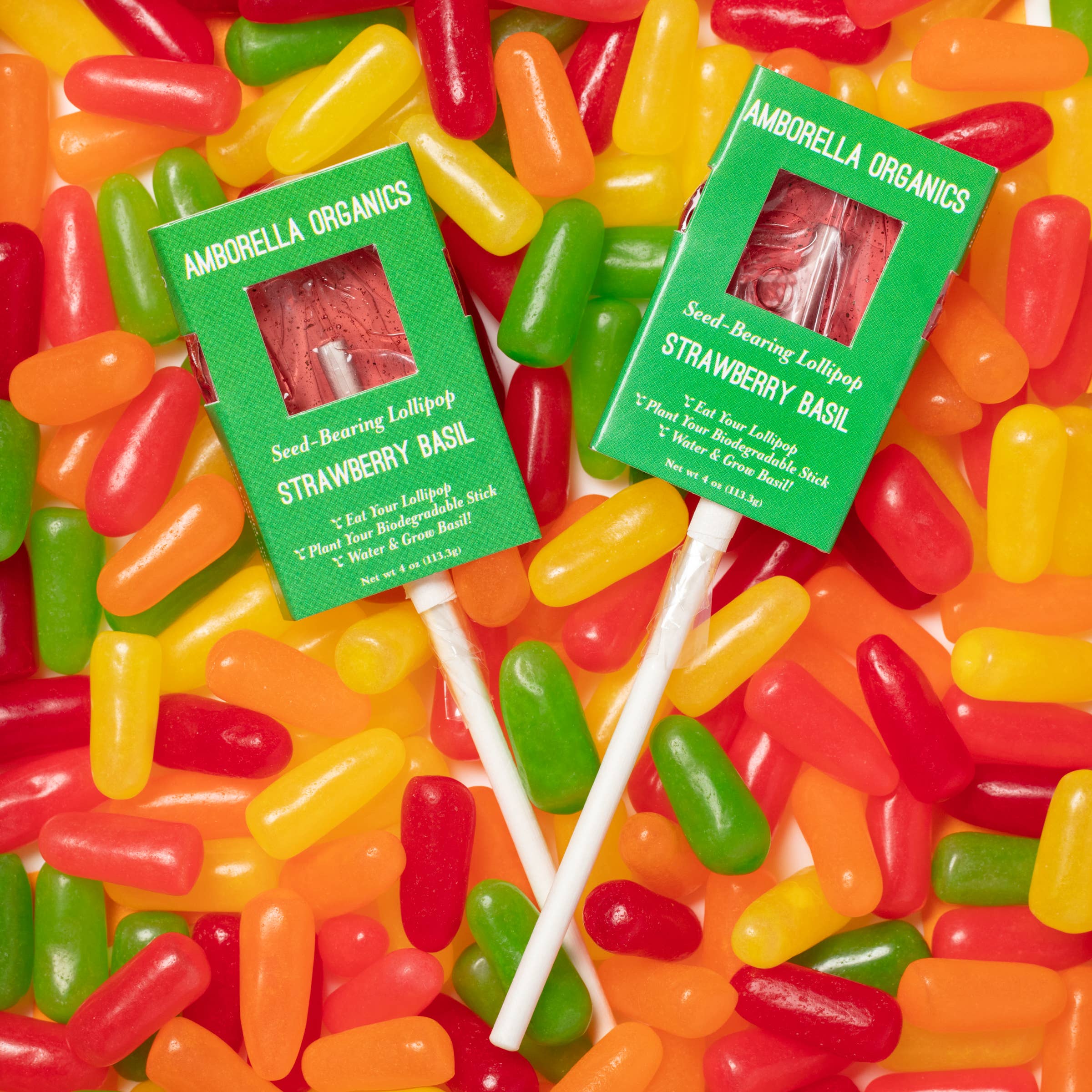 Amborella Organics - Wholesale Lollipop - Halloween Lollipop 8 Pack (Eat, Plant & Grow a Herb/Flower)8